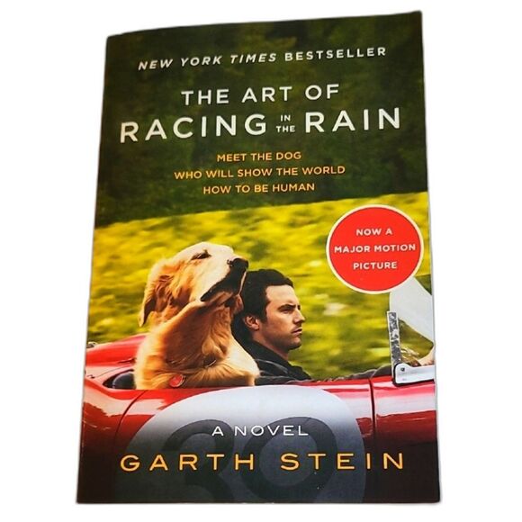 Other - The Art of Racing in the Rain Book By Garth Stein